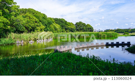 晴れ渡った谷津干潟公園（千葉県習志野市） 113060024