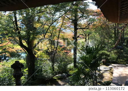 大洲 臥竜山荘 大洲 臥竜山荘 113060172
