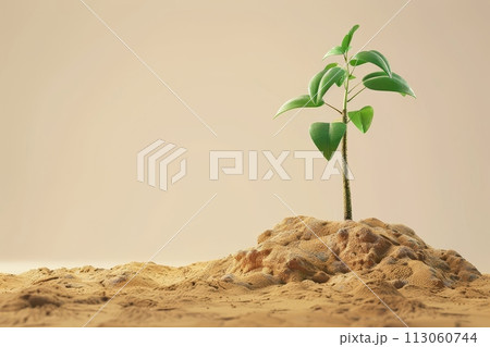 A small green plant is growing on a rocky hillside with Generative AI 113060744