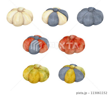 Hand drawn watercolor illustration sewing craft embroidery mending seamstress supplies. Fabric pin cushion flower. Set of single objects isolated white background. Design atelier, tailor, hobby shop 113061152