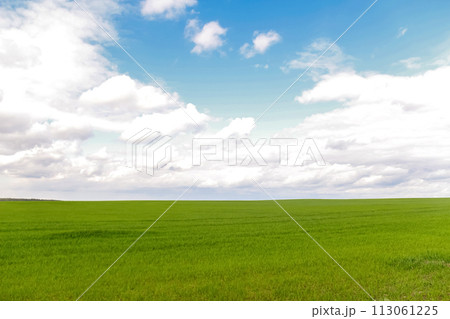 Defocus blue sky background with tiny white clouds and green meadow. Panorama blue sky background with clouds.. Windows wallpapers. Out of focus 113061225