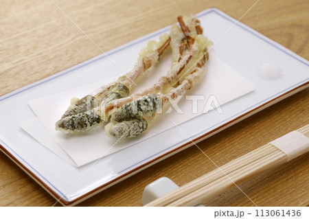 つくしの天ぷらの写真素材 [113061436] - PIXTA