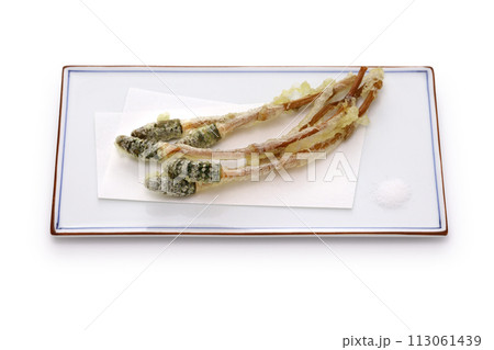 つくしの天ぷら 113061439