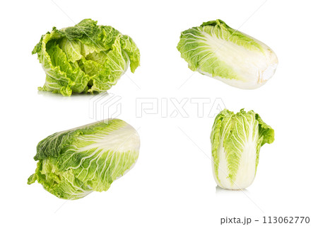 Chinese cabbage isolated on white background 113062770