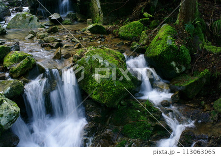 常清滝 常清滝 113063065