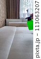 A professional sprays cleaning agent on a white orthopedic sofa to remove stains 113063207