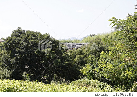 korea house, 113063393