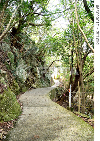 霊峰尺間神社・参道 113063599