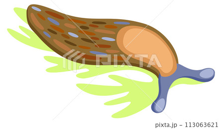 Slug on leaf. Vector isolated illustration 113063621