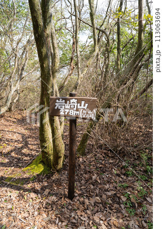 岩崎山の山頂(八幡山縦走コース) 岩崎山の山頂(八幡山縦走コース) 113063694