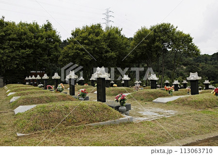 tombstone 113063710