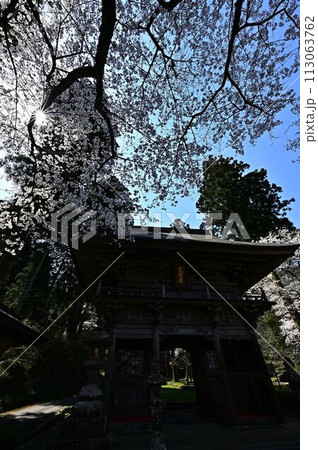 桜咲く春の文保寺 113063762