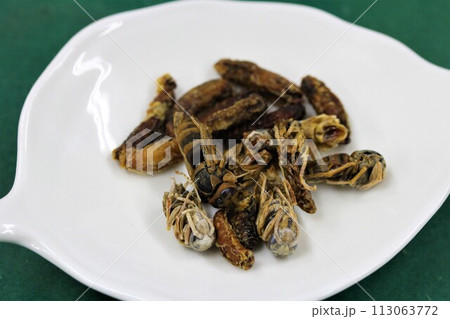 流行の昆虫食 113063772