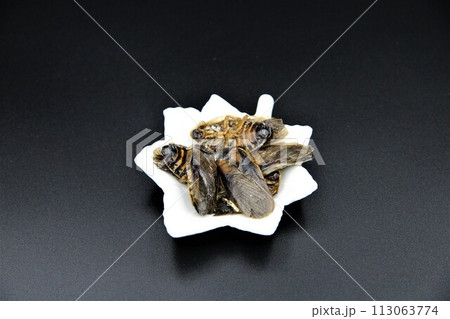 流行の昆虫食 113063774