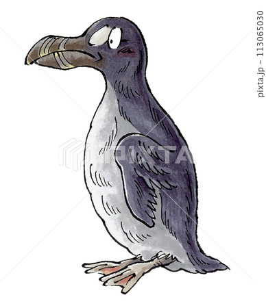 オオウミガラス 113065030