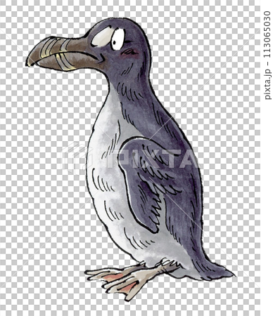 オオウミガラス 113065030