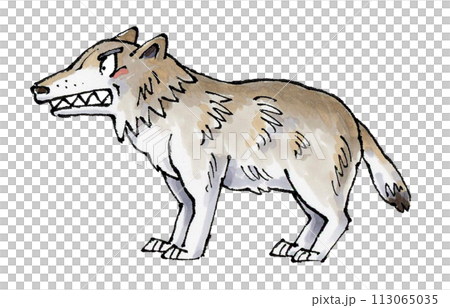 日本狼 日本狼 113065035