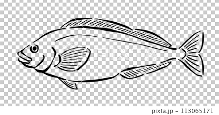 ほっけの線画イラスト　手描き、筆風 113065171