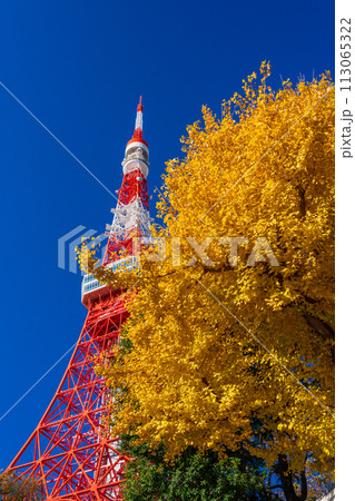 （東京都）紅葉樹と東京タワー 113065322