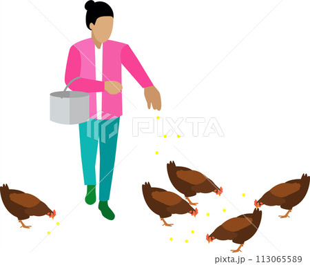 Farmer feeding hen vector icon isolated on white 113065589