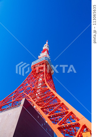 （東京都）晴天下の東京タワー 113065635