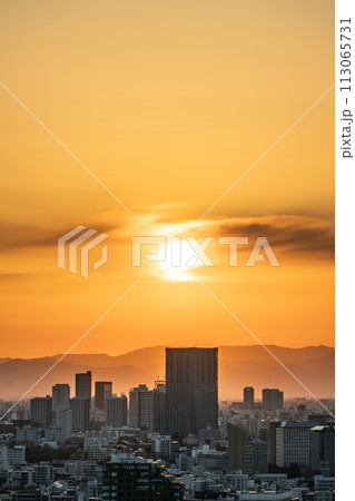 【東京都】夕日に染まる都会の街並み 【東京都】夕日に染まる都会の街並み 113065731