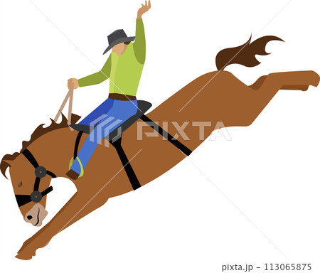 Rider tamer riding on horse vector icon isolated on white Rider tamer riding on horse vector icon isolated on white 113065875