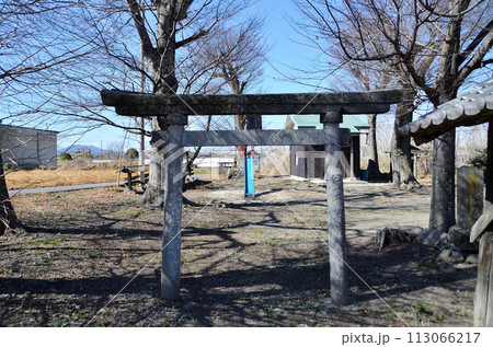 埼玉県児玉郡神川町四軒在家 日枝神社の大ケヤキ 埼玉県児玉郡神川町四軒在家 日枝神社の大ケヤキ 113066217