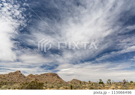 Joshua Tree National Park Joshua Tree National Park 113066496