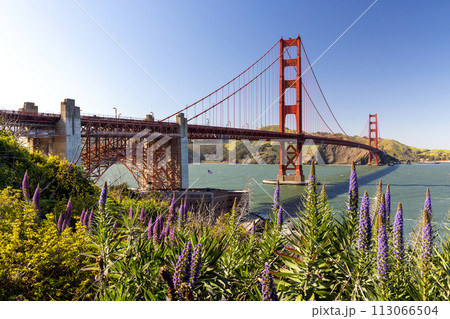 Golden Gate Bridge 113066504