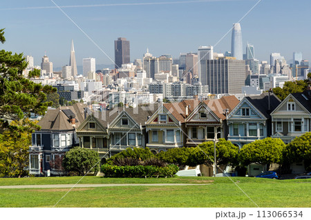 The Painted Ladies and San Francisco downtown 113066534