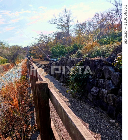 城ケ崎海岸の橋立つり橋への遊歩道 113066551