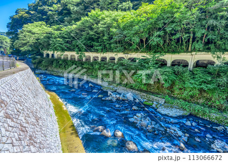 神奈川県箱根湯本　須雲川 113066672