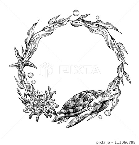 Underwater world clipart with sea animals turtle, shells, bubbles, coral and algae. Graphic illustration hand drawn in black ink. Circle wreath, frame EPS vector. 113066799