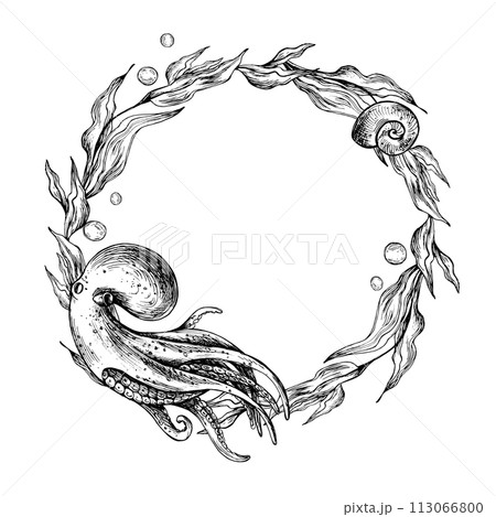 Underwater world clipart with sea animals octopus, jellyfish coral and algae. Graphic illustration hand drawn in black ink. Circle wreath, frame EPS vector. 113066800