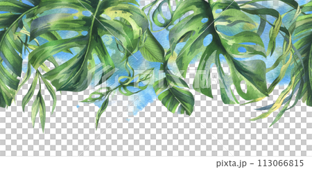 Tropical coconut, banana palm leaves, monstera, monkey mask, frangipani, bright juicy green. Hand drawn watercolor botanical illustration. Seamless border is isolated from the background. 113066815
