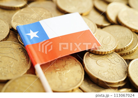 Chili flag on coins background, finance and accounting, banking concept. Chili flag on coins background, finance and accounting, banking concept. 113067024