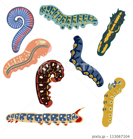 A set of colorful caterpillars on a white background. Illustration for a postcard, banner, decor 113067104