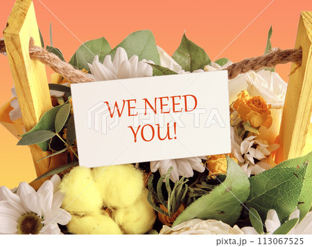 WE NEED YOU Message written on a business card placed in a basket with blooming flowers WE NEED YOU Message written on a business card placed in a basket with blooming flowers 113067525