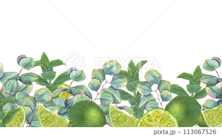 Lime, mint and eucalyptus sprigs. Juicy citrus slices, green leaves. Long horizontal banner with copy space for text. Watercolor illustration isolated on white. For label, package. 113067526