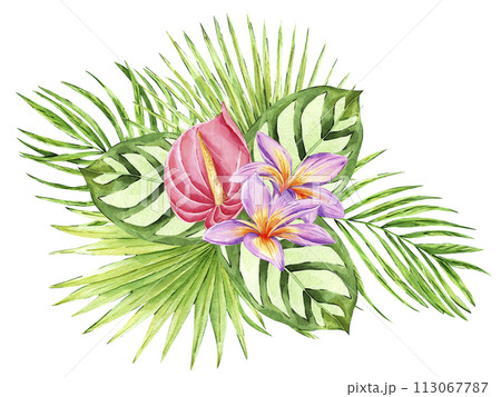 Watercolor illustration of tropical flower and leaves composition isolated on white background. Hand drawn exotic botanical arrangement. Floral bouquet. Perfect for invitations, cards, printing. Watercolor illustration of tropical flower and leaves composition isolated on white background. Hand drawn exotic botanical arrangement. Floral bouquet. Perfect for invitations, cards, printing. 113067787