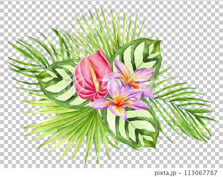Watercolor illustration of tropical flower and leaves composition isolated on white background. Hand drawn exotic botanical arrangement. Floral bouquet. Perfect for invitations, cards, printing. Watercolor illustration of tropical flower and leaves composition isolated on white background. Hand drawn exotic botanical arrangement. Floral bouquet. Perfect for invitations, cards, printing. 113067787
