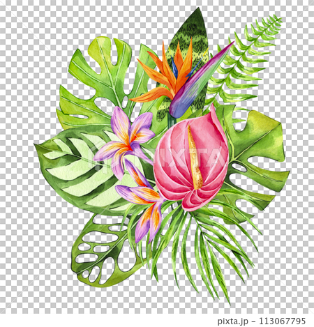 Illustration of tropical leaves and flowers with monstera, palm and banana leaves isolated on white background. Watercolor hand drawn exotic floral composition. Perfect for invitations, card 113067795