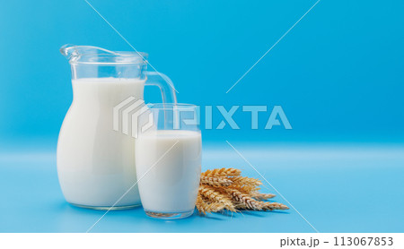 Fresh Milk in Pitcher and Glass 113067853