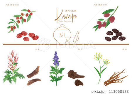 生薬ベクターイラストセット1(赤なつめ・黒ナツメ・大黄・附子・柴胡) 生薬ベクターイラストセット1(赤なつめ・黒ナツメ・大黄・附子・柴胡) 113068188