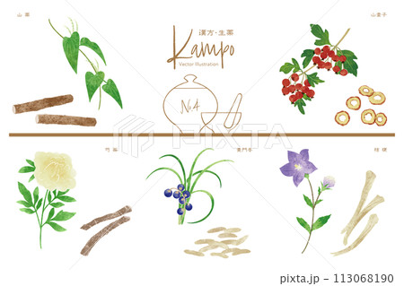 生薬ベクターイラストセット4（山薬・山査子・芍薬・麦門冬・桔梗） 113068190