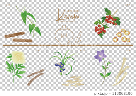 生薬ベクターイラストセット4（山薬・山査子・芍薬・麦門冬・桔梗） 113068190