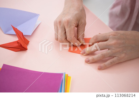 折り紙を折るミドル女性の手元 113068214