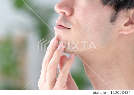 ミドル男性　ヒゲ　ビューティー　横向き 113068424