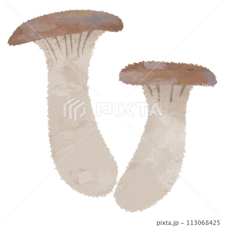 エリンギ　きのこ　菌類　菌活　イラスト 113068425